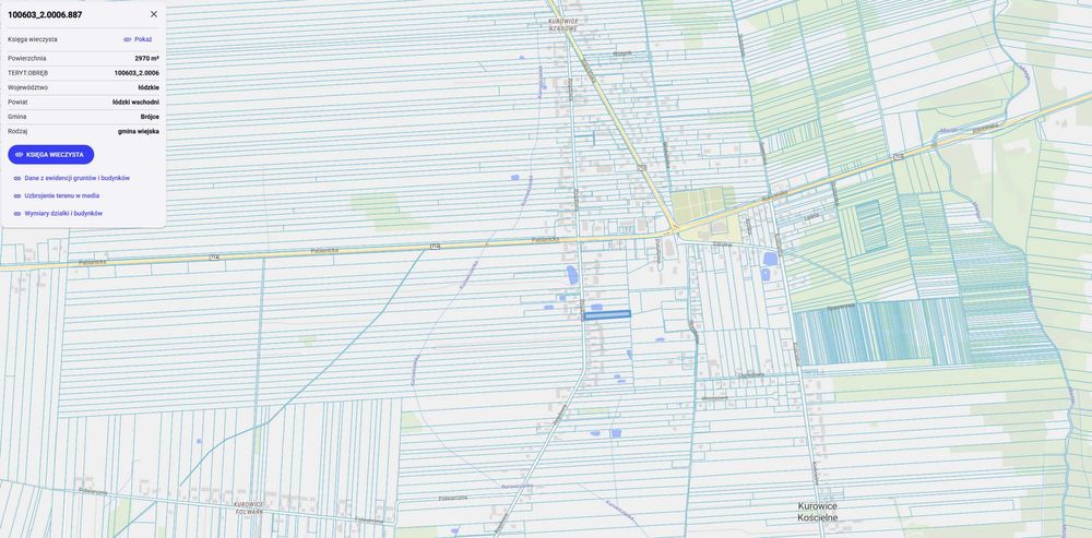 Działka mieszkaniowo-usługowa 2920m² Kurowice woj. Łódzkie - Widok 6