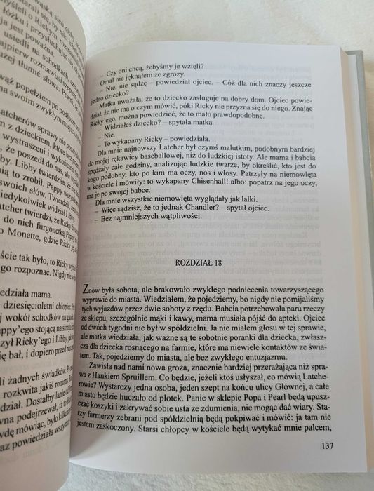 Malowany dom - John Grisham