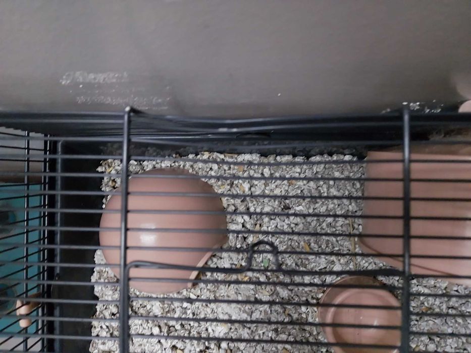 Gaiola para hamster completa - como nova