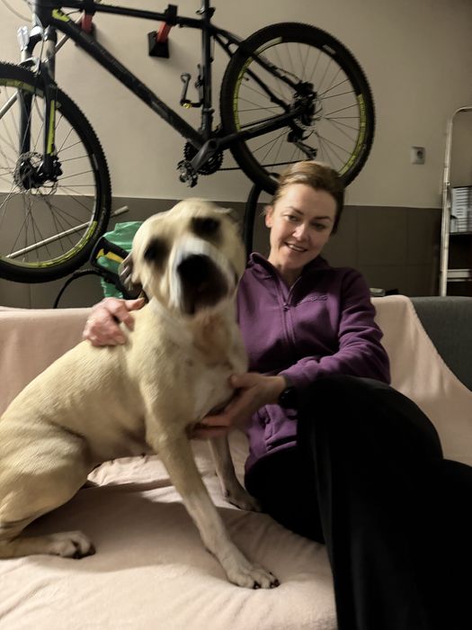 Renesme pilnie szuka domu