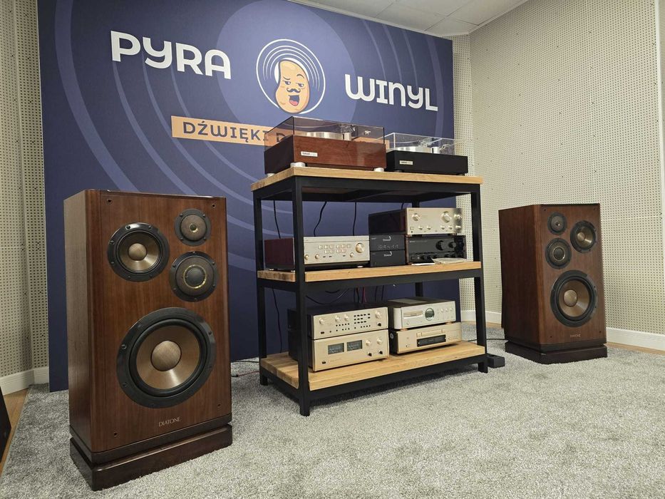 Kolumny Stereo DIATONE DS-V5000