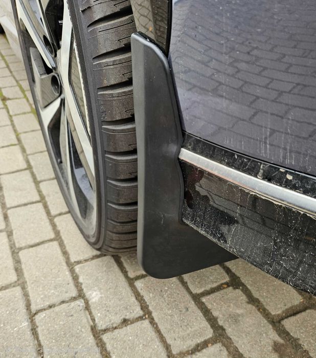 Бризковики Audi Q4 e-tron Zeekr 7X 001 BYD Tang DM-P Sealion 05 07 EV