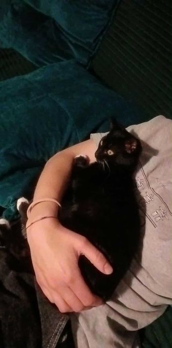 ATOM szuka bombowego domu!