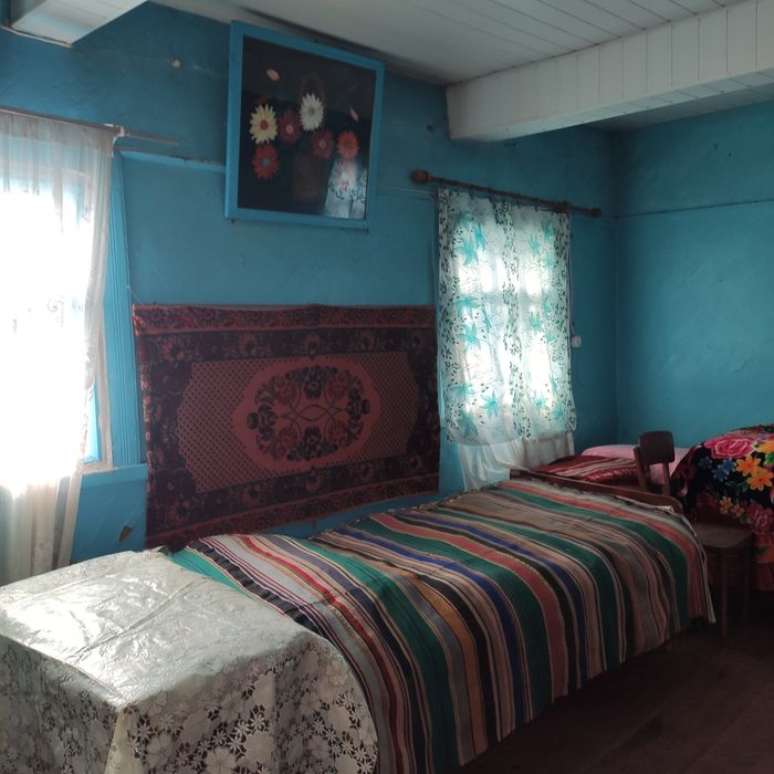 Продам будинок з приватиз. земельною ділянкою ( 25 соток землі)