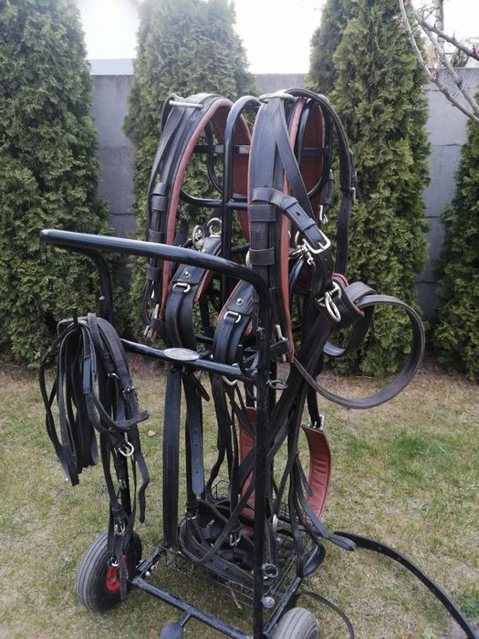 Uprząż na parę koni cob, full