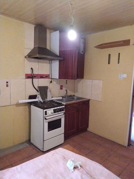 Будинок с.Червонокам'яне, 25км від Дніпра, Велика зем.ділянка.ВЛАСНИЦЯ