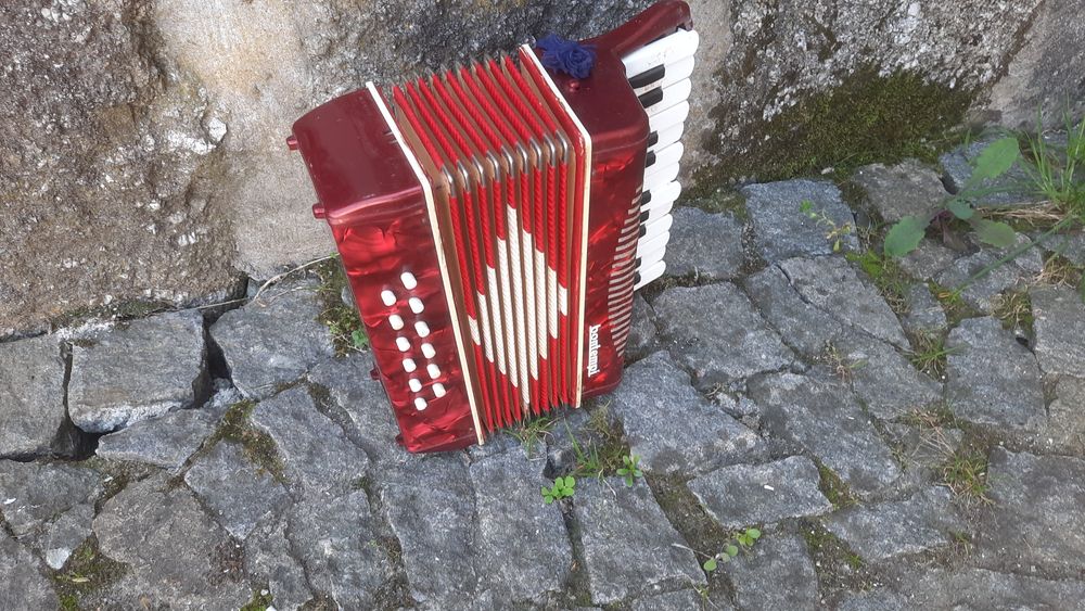 Acordeão, em Travassós-Fafe