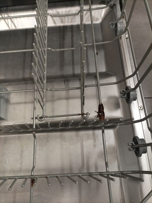 Zmywarka Amica model ZIM 629E