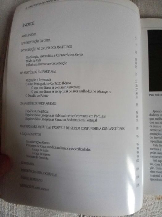 Anatídeos de Portugal espécies de patos em Portugal