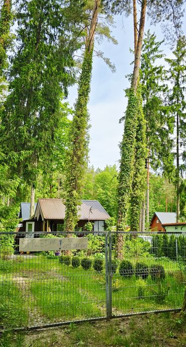 Domek letniskowy - Siedlisko nad jeziorem Symsar