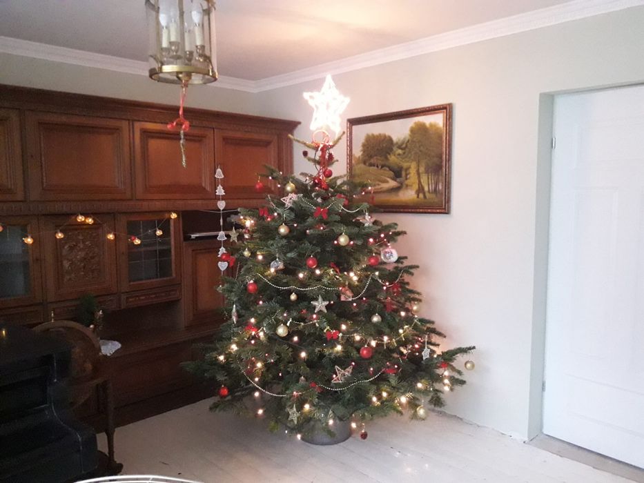 Meblościanka dębowa