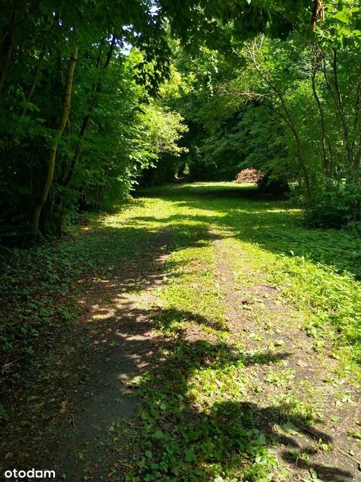 Dworek, Bereść, powiat Zamojski