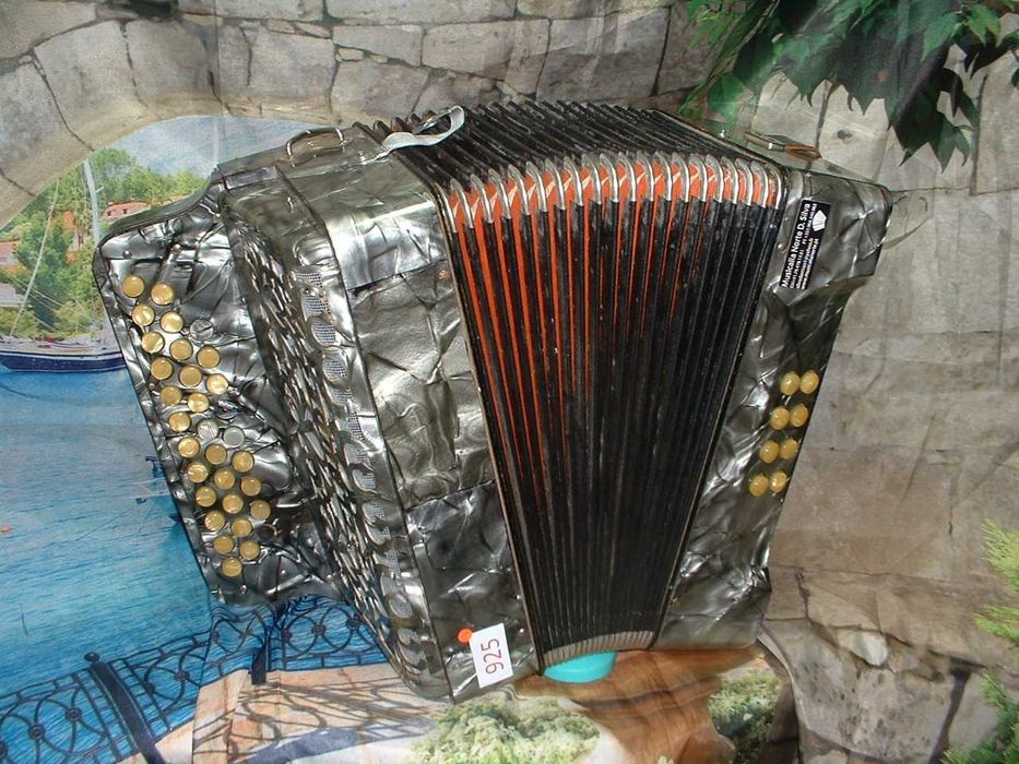 Promoção de Acordeões de concertinas