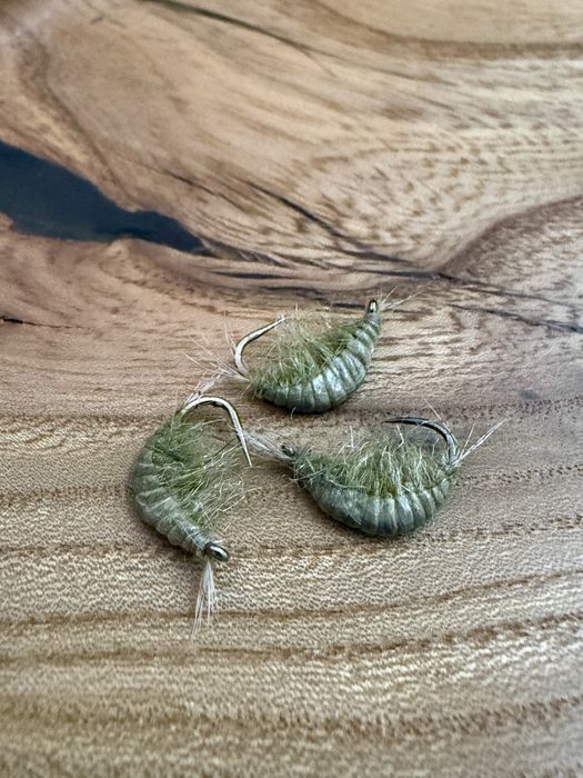 Przynęta wedkarska kiełż