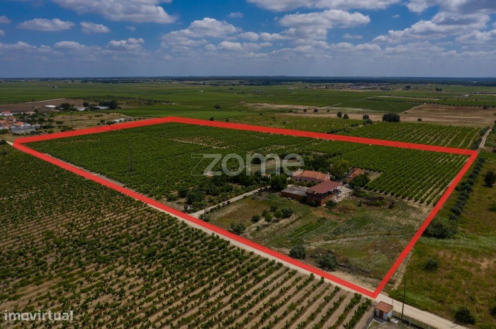 Herdade D. Alda - vinhas prestigiadas e premiadas!