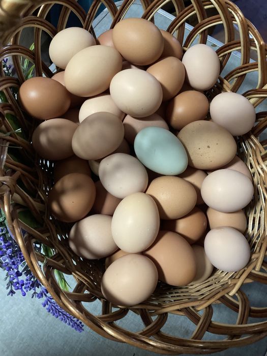Продам свіжі домашні яйця доставка безкоштовно по місту від 3 десятків