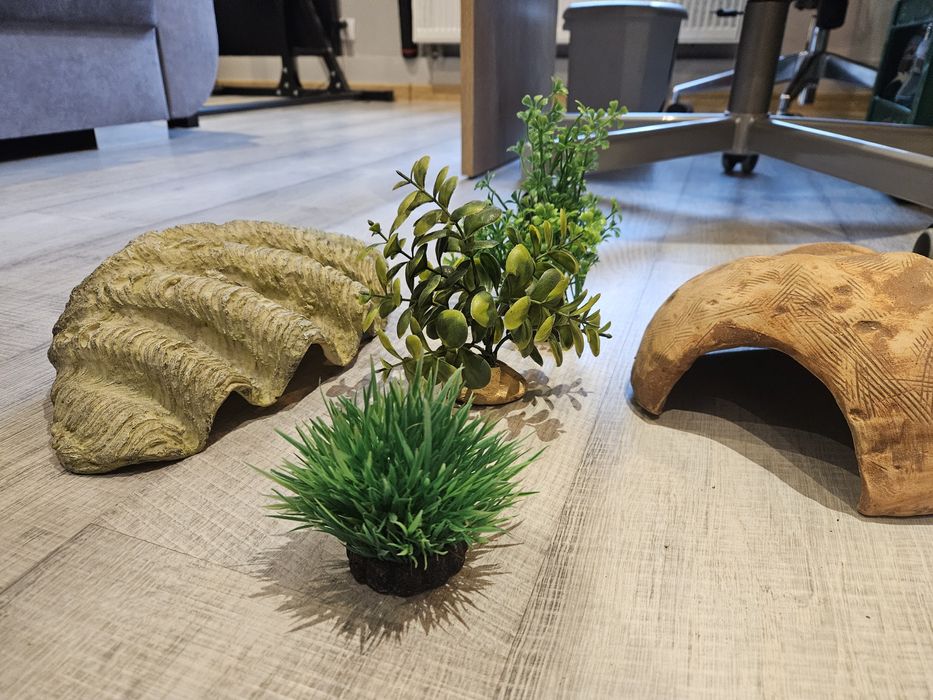 Dekoracje do terarium