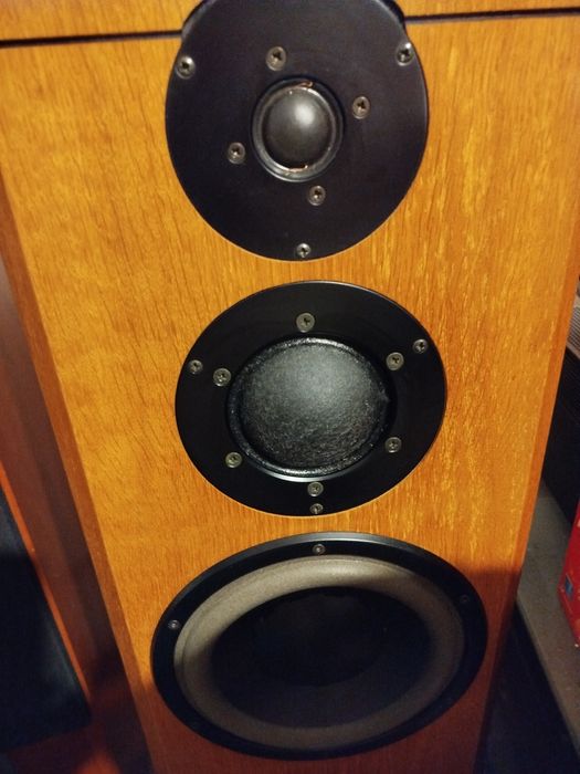 Dynaudio Xennon 3.Contour. Oryginal Dynaudio.