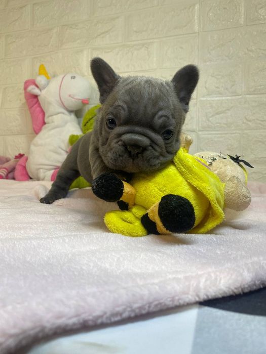 Найгарніший хлопчик