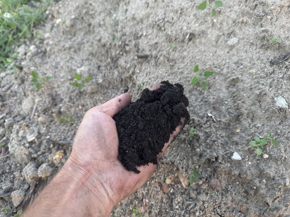 Ziemia czarnoziem ph 7.2 przesiewana