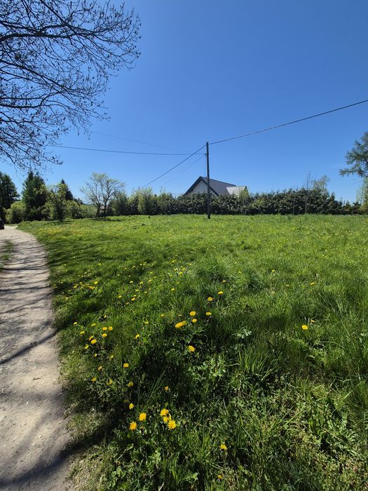 Działka 3000m2 - do wynajęcia
