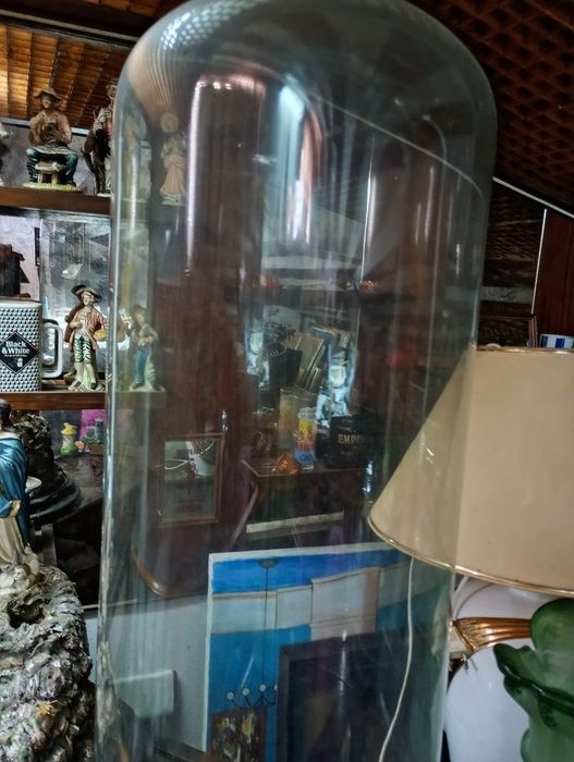Figuras de redoma. campânula em vidro Alta.
