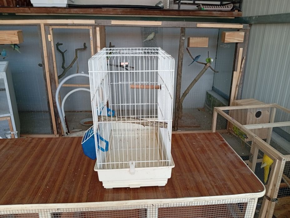 Gaiola para vendo
