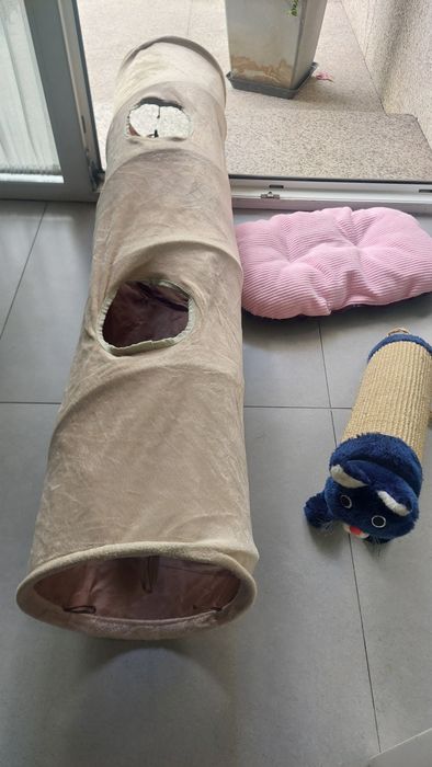 Conjunto de Artigos para Gato