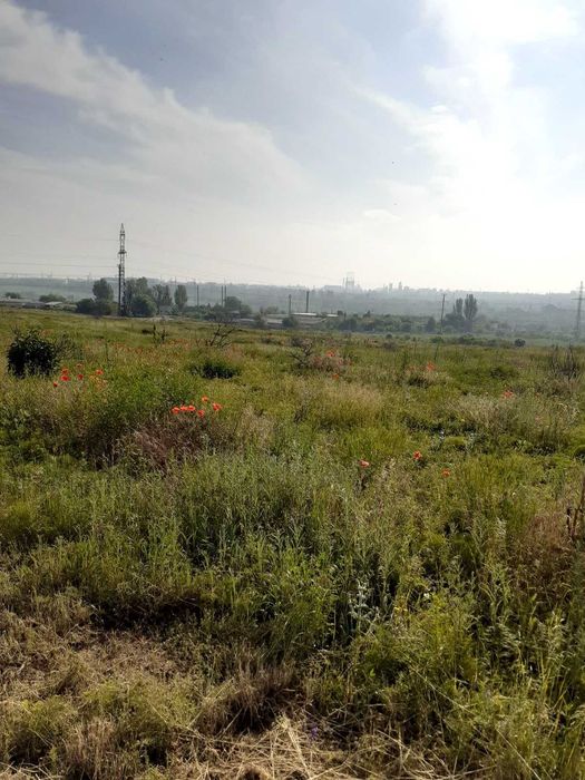 Продам землю сільськогосподарського призначення