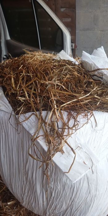 Feno para feira  do cavalo FNC