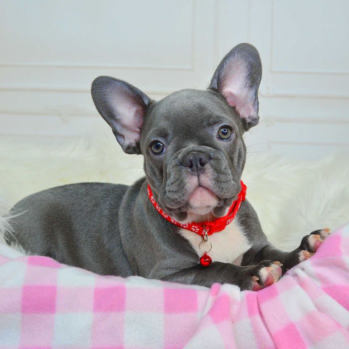 !Прекрасні малюки у пошуках люблячих родин!