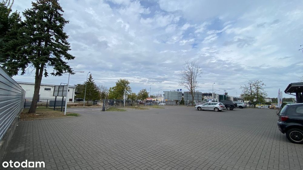Zdjęcie 7