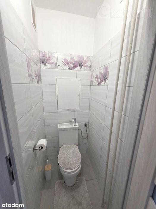 Ładne 3 oddzielne pokoje z balkonem na 1 piętrze