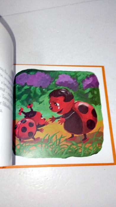 Vermelhinha , a Joaninha - Bichos Bichinhos e Bicharocos