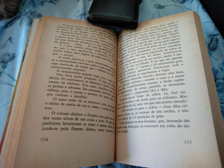 Aventura com os elefantes