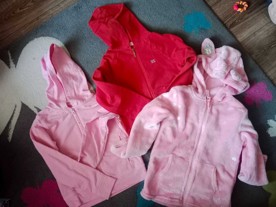 Paczka ubrań rozmiar 110/116, dla dziewczynki sweterki bluzy