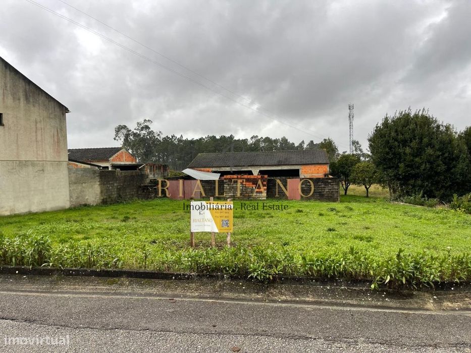 Terreno Montinho — Cantanhede E Pocariça, Coimbra