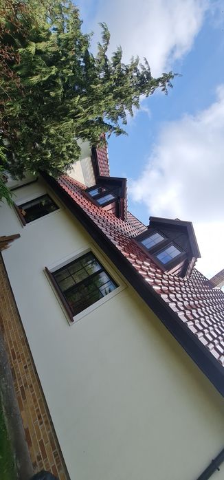Malowanie Elewacji   ogrodzen i podbitki  rusztowanie Poznan Swarzedz Kostrzyn Pobiedziska Środa Wlkp Gruszczyn  Tynki ozdobne  typu baranek mozaika