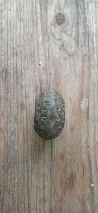 Продам прясло знайдено на полі