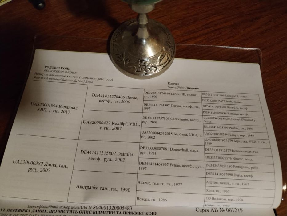 Жеребец УВП конь