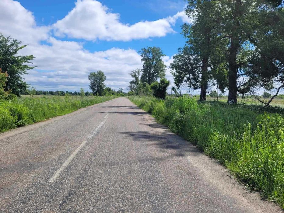 Продам фасадну земельну ділянку траса Димер-Козаровичі, с. Козаровичі, урочище Гала