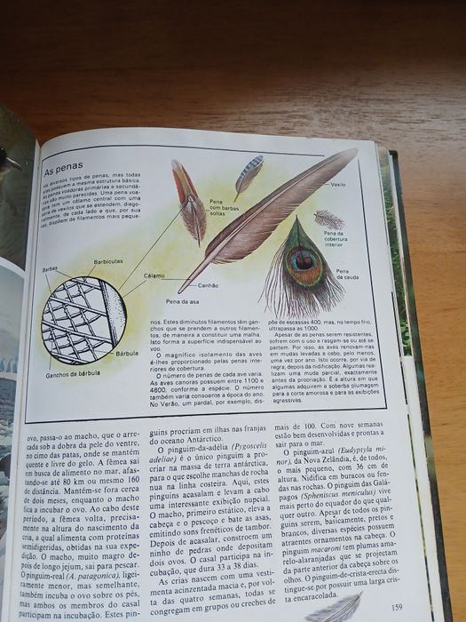 Enciclopédia da Vida Animal