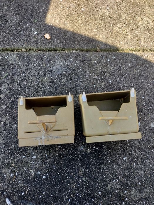 Diamante tricolor lutino