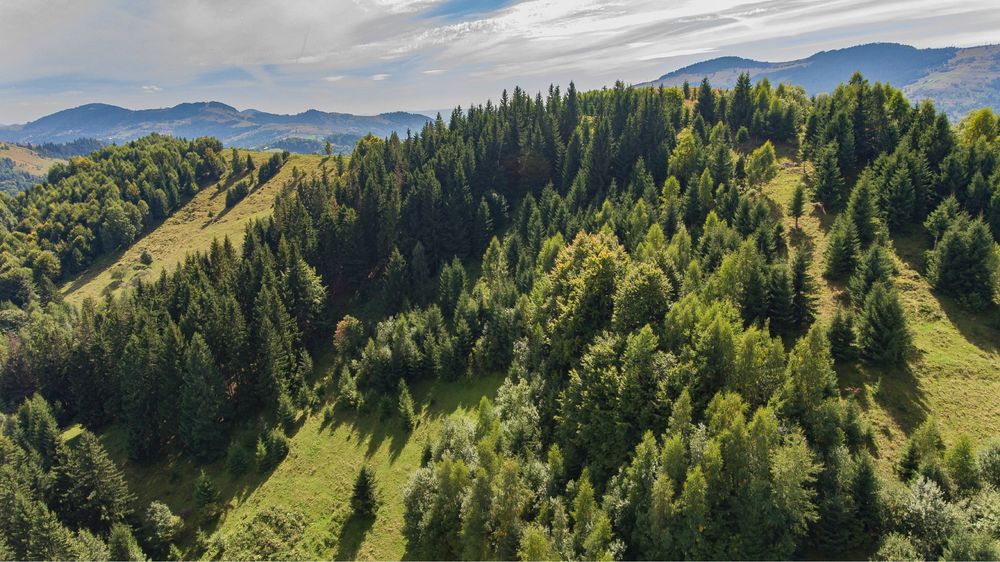 Продаж БУДИНКУ з земельною ділянкою біля Терношорської Лади!!!