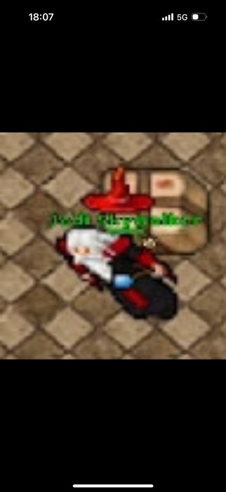 Korepetycje / exp service Tibia