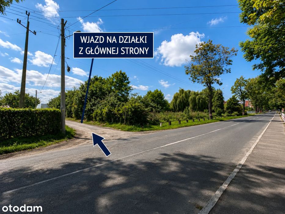 Zdjęcie 5