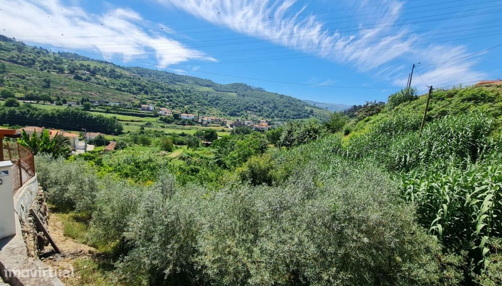 Land for Sale, Loivos da Ribeira, Baião