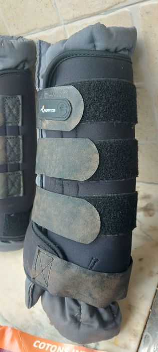 Caneleiras Protecao Cavalos