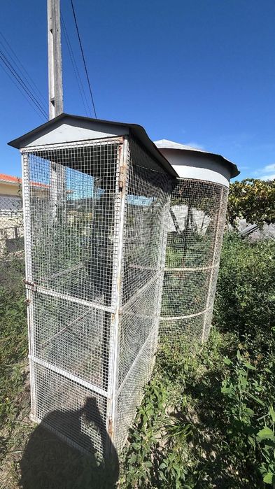 Gaiola grande de jardim TROCO POR RING NECKS