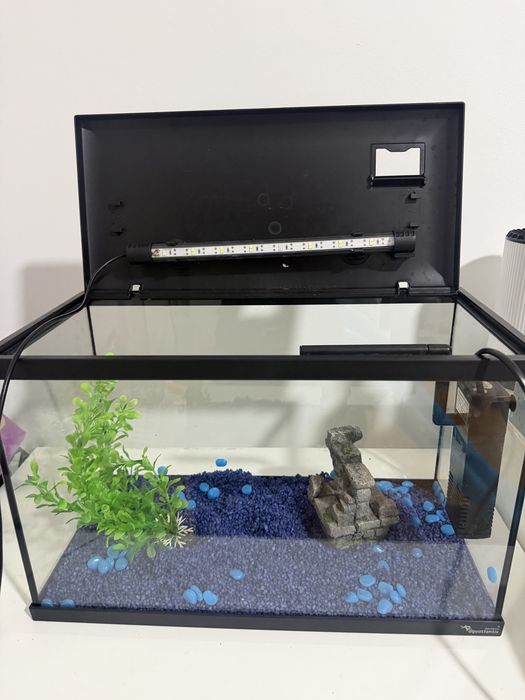 Aquario Completo